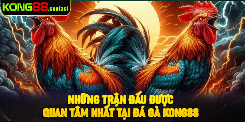 Những trận đấu được quan tâm nhất tại đá gà Kong88