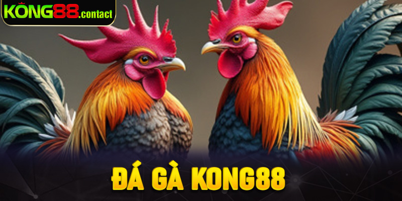Đá gà Kong88